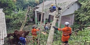 Pohon Tumbang Timpa Rumah Warga di Bogor, Tiga Orang Mengungsi