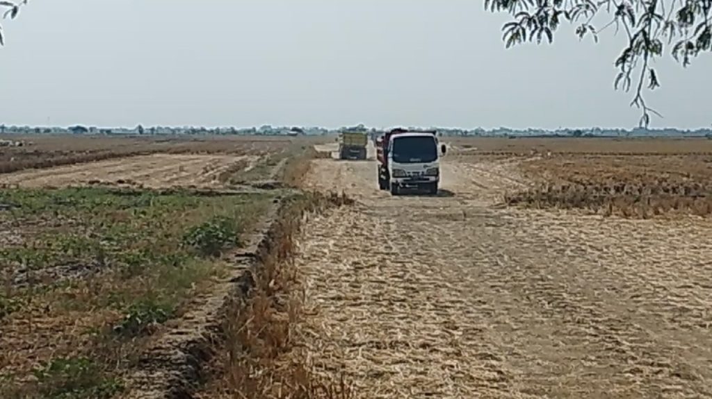 Tanah Sawah di Ranjeng Losarang Dikeruk dan Diduga Diperjualbelikan, Warga  Pertanyakan Aktivitasnya
